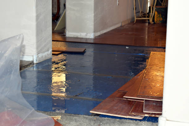 Professional Flood Damage Repair technician working in Auburn, MI